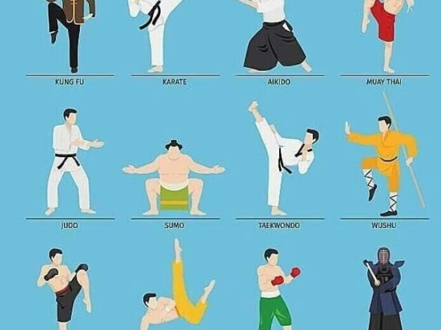 Pratico artes marciais como Jiu-jitsu, Muay Thai, Karatê, MMA, Taekwondo, Capoeira ou outros.