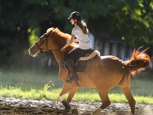 cavalgar no cavalo ou égua