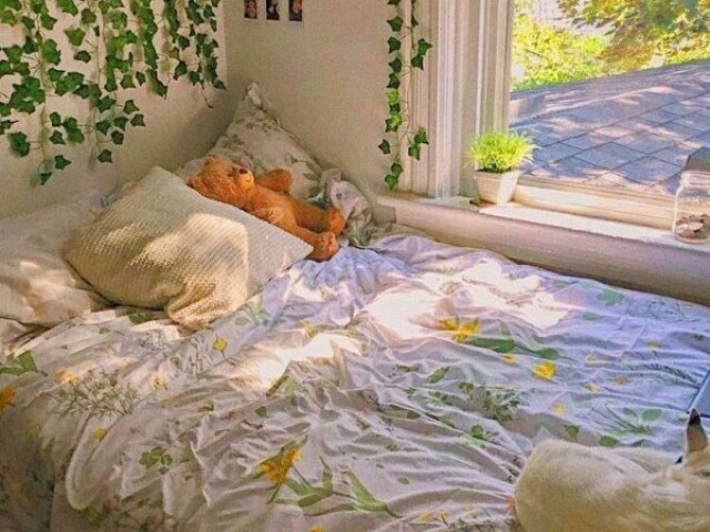 Aesthetic
