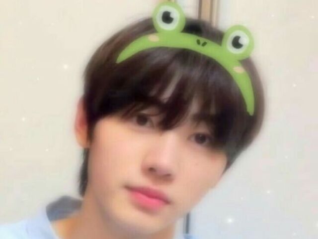 │ ┆ 🐸; E se os meninos do enhypen se apaixonassem por você? ; 🐸 ┆ │