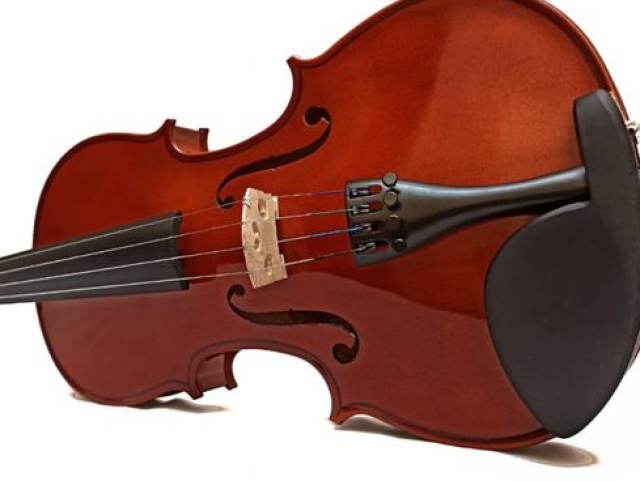 Violino