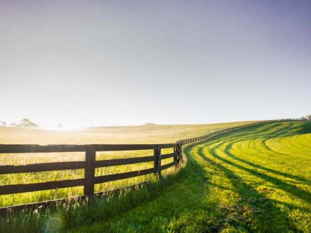 Fazenda