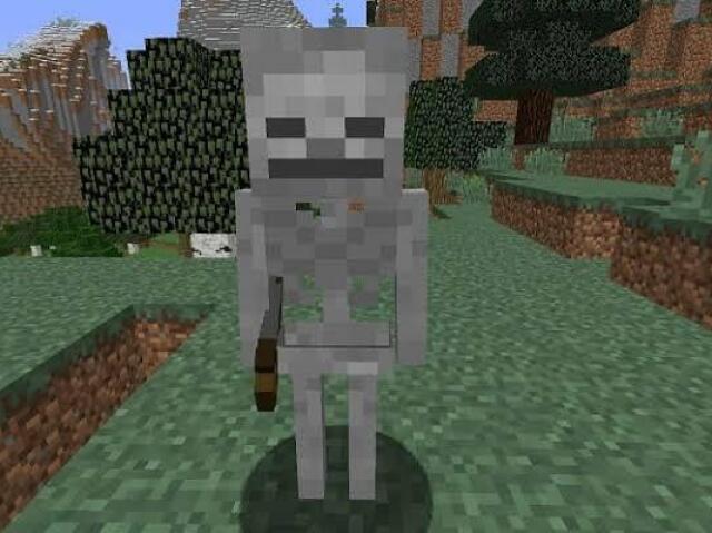 Esqueleto