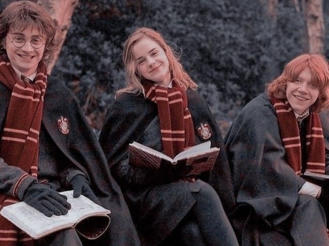 Qual personagem do trio (Hermione, Rony e Harry Potter) você seria?
