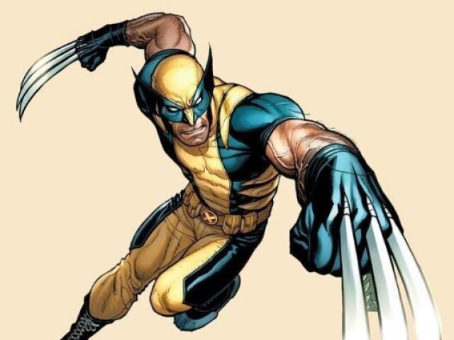 7. Wolverine