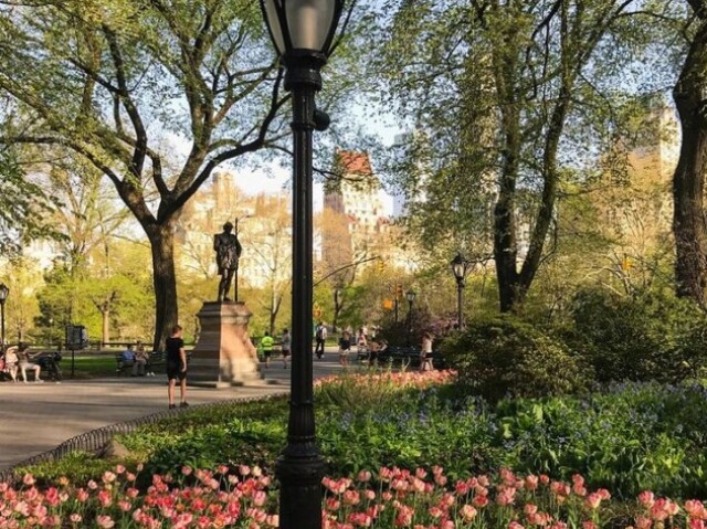 Park