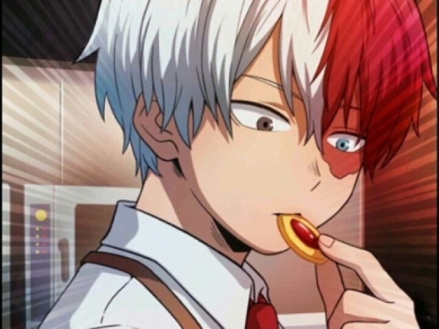 Shoto Todoroki e você meu lindo