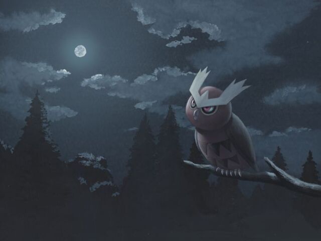 Noctowl