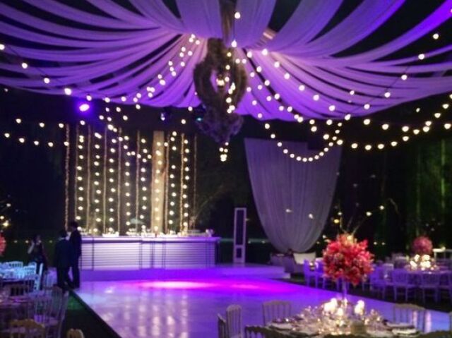 Festa lindaa