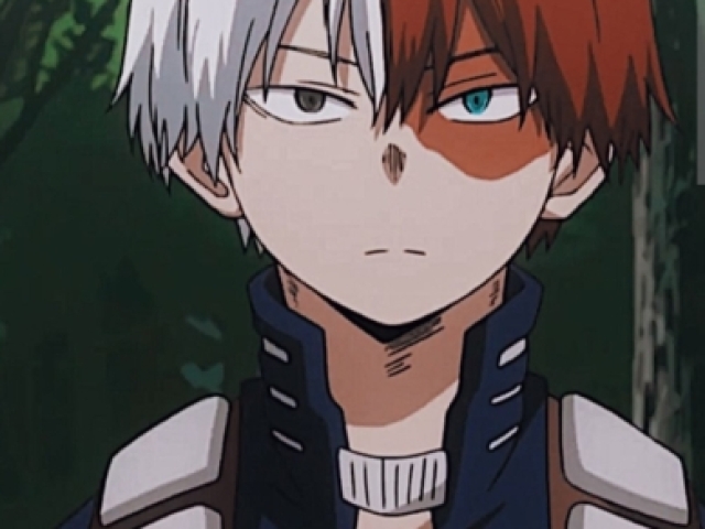 Vou fala com o protagonista da história Shoto Todoroki