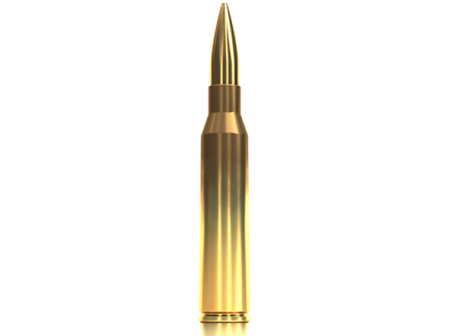 .338 Lapua Magnum