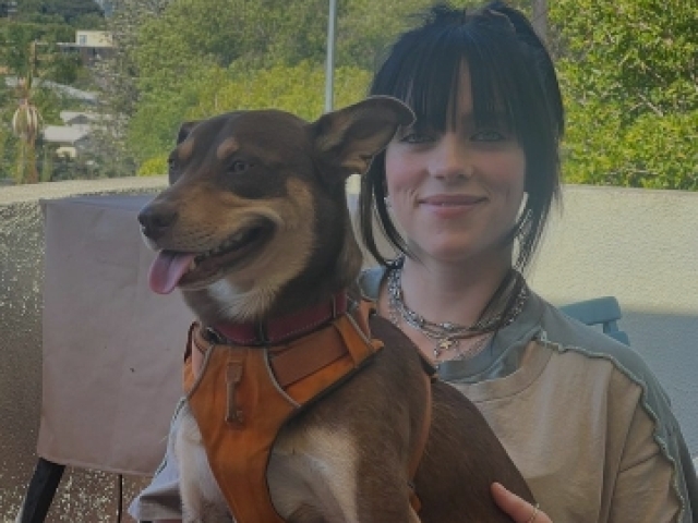 Você conhece a lenda chamada billie eilish?
