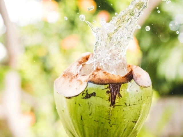 Aquário e peixes: Água de. Coco