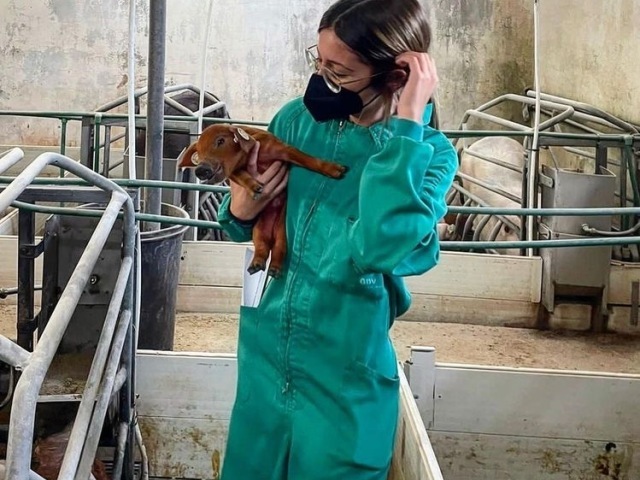 Veterinária💉(ou médica 👩‍⚕️)