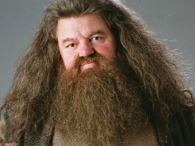 Hagrid