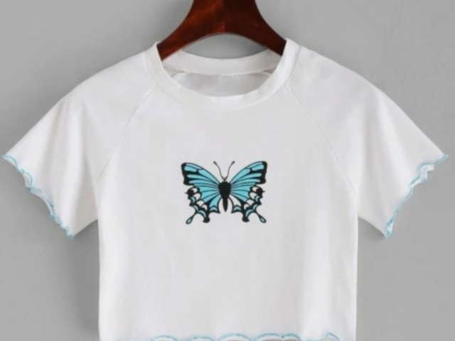 Blusa com borboleta