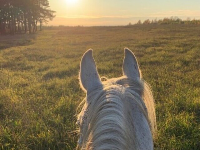 Passear pelo campo