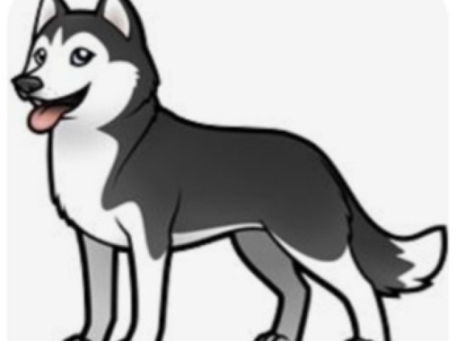 Husky