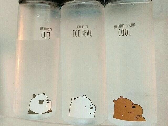 🐻🐼