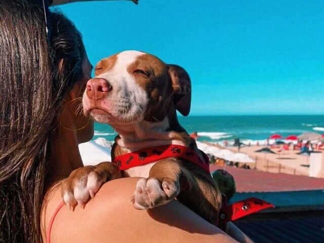 (pet/praia)