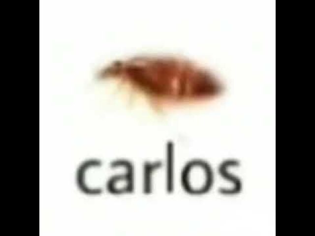 Carlos