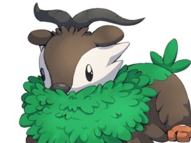 Skiddo