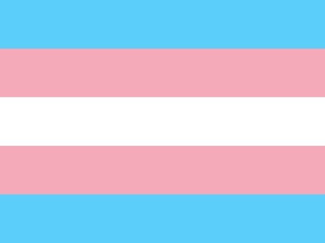 Bandeira Trans