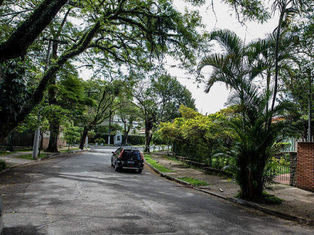 Calma e com muitas árvores