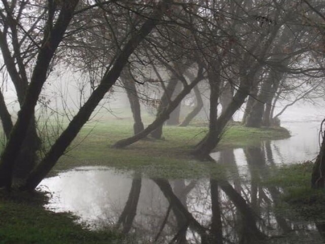 O pântano, a escuridão do lugar me traz uma paz.