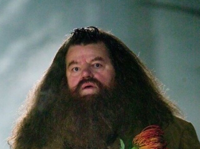 HAGRID