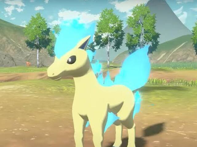 Ponyta