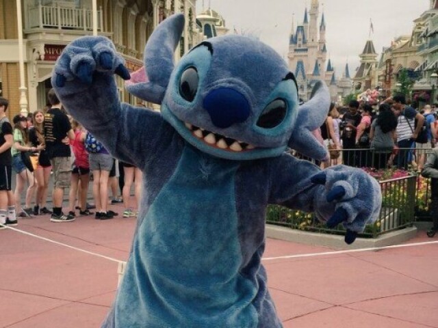 Stitch