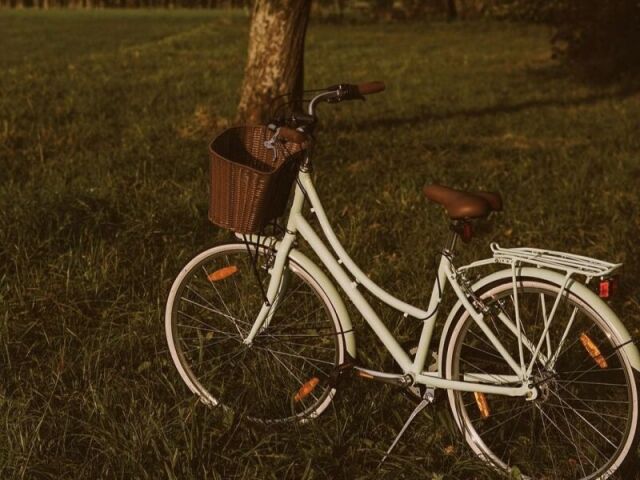 ~Bicicleta