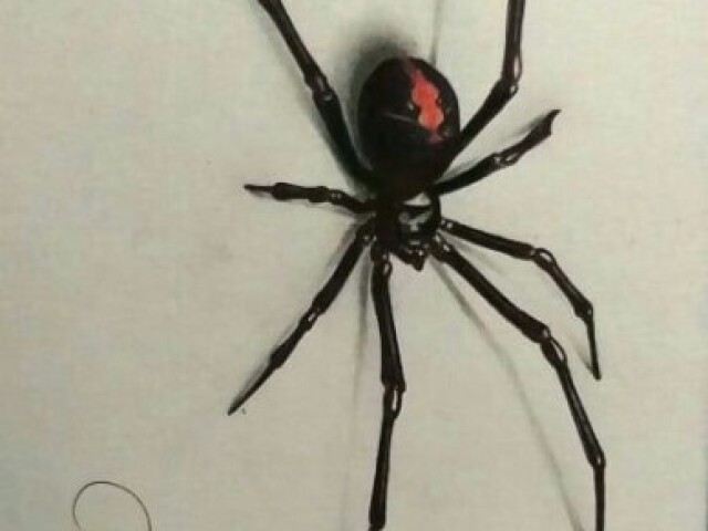 Aranha