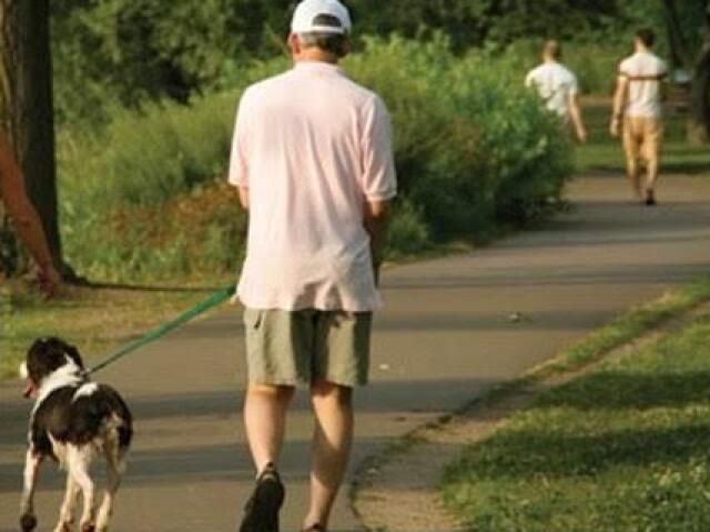 Passear com seu Cachorro