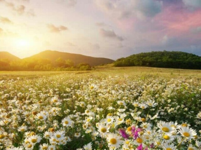 1*primavera e linda adoro o calor e as flores
2* verão amo as praias corer no calor e passar tempo com os amigos
3*outono adoro o vento e brincar mas folhas
4*inveno com sertez
