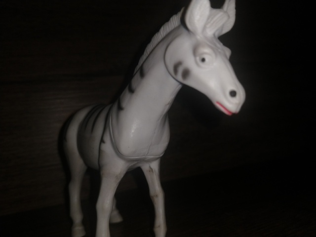 Zebra ou cavalo (sei lá o que é essa merda)