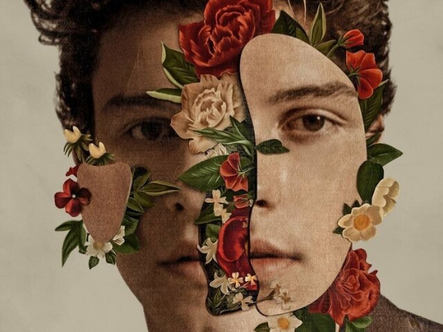 Shawn Mendes