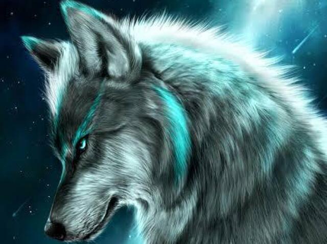 4
LOBO DO AR