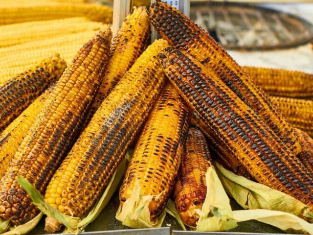 Espiga de milho🌽🤤❤️😋😍