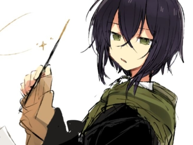 ( não escolhi o
Aizawa-sensei)