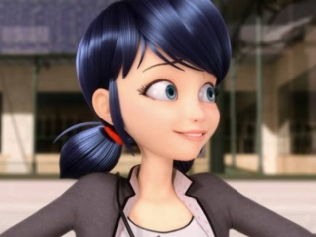 Marinette Dupain-Cheng / Ladybug