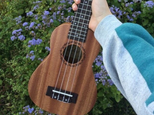 Ukulele♥️