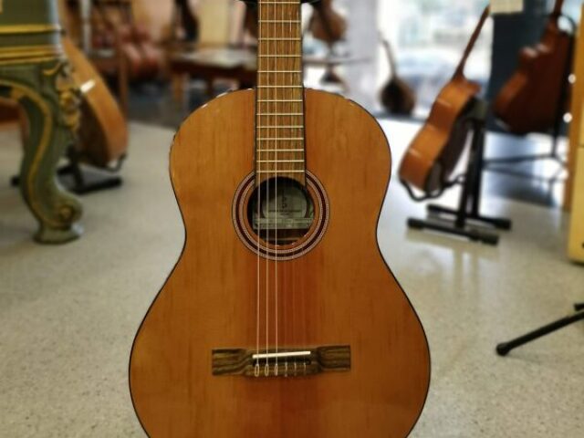 Guitarra