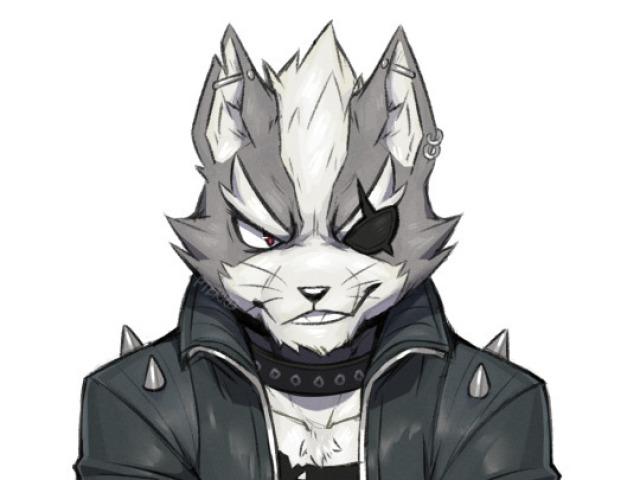 WOLF (STAR FOX)