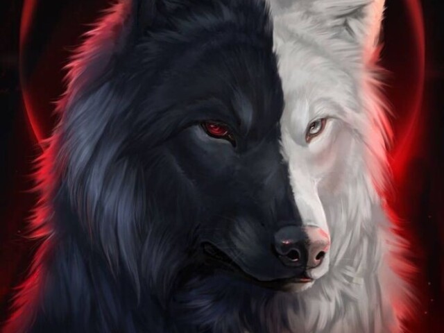 Lobo