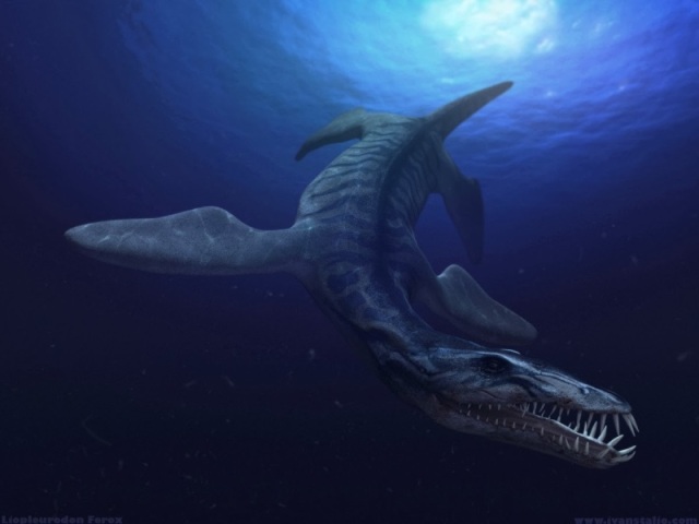 pliosauridae