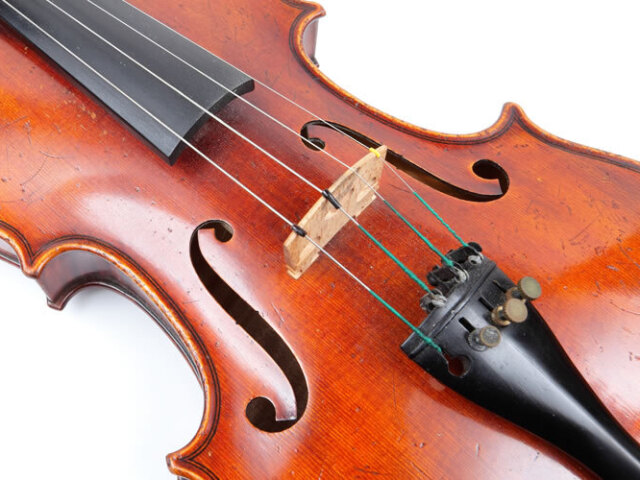 Violino