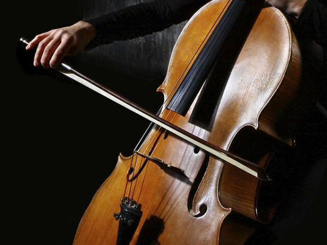 Violoncelo