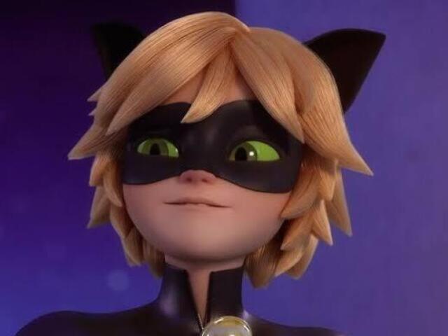 cat noir